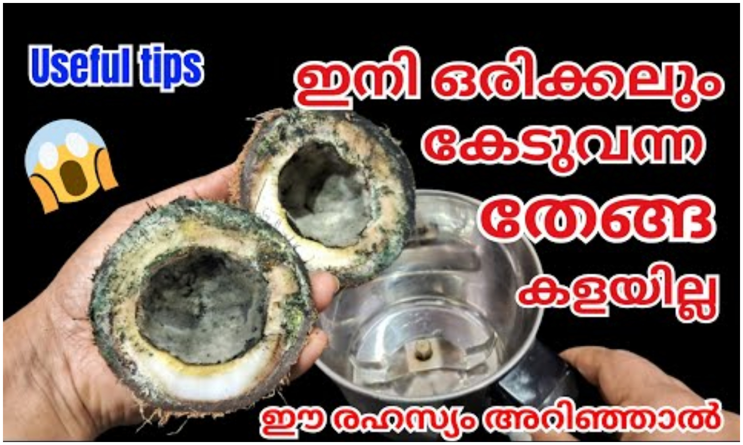 Tip For Broken Coconut Storing For A Long Time