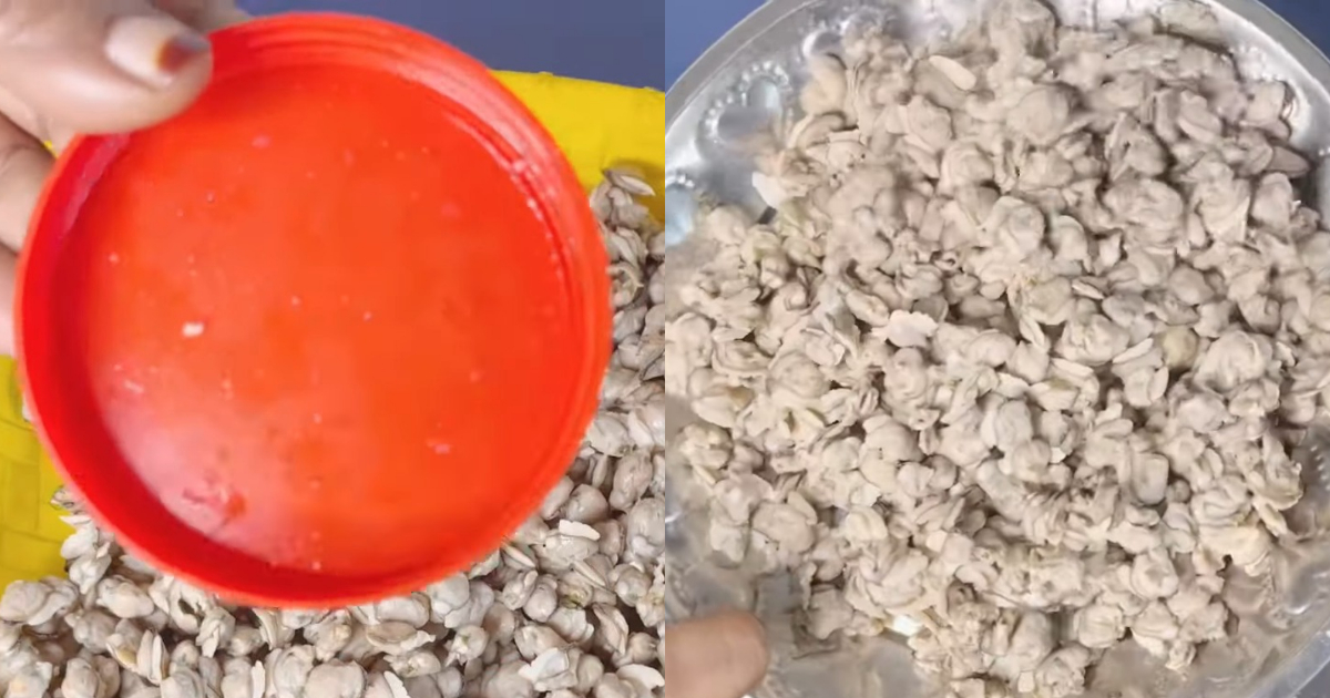 Easy Shellfish Cleaning Tip