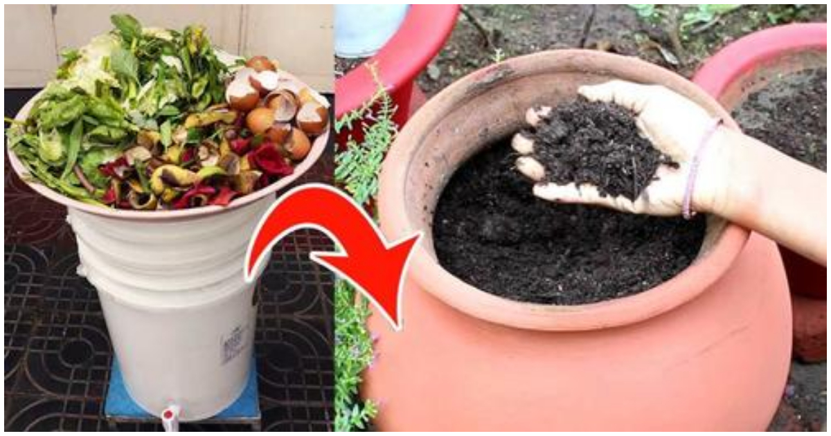 Tips For Making Compost From Waste