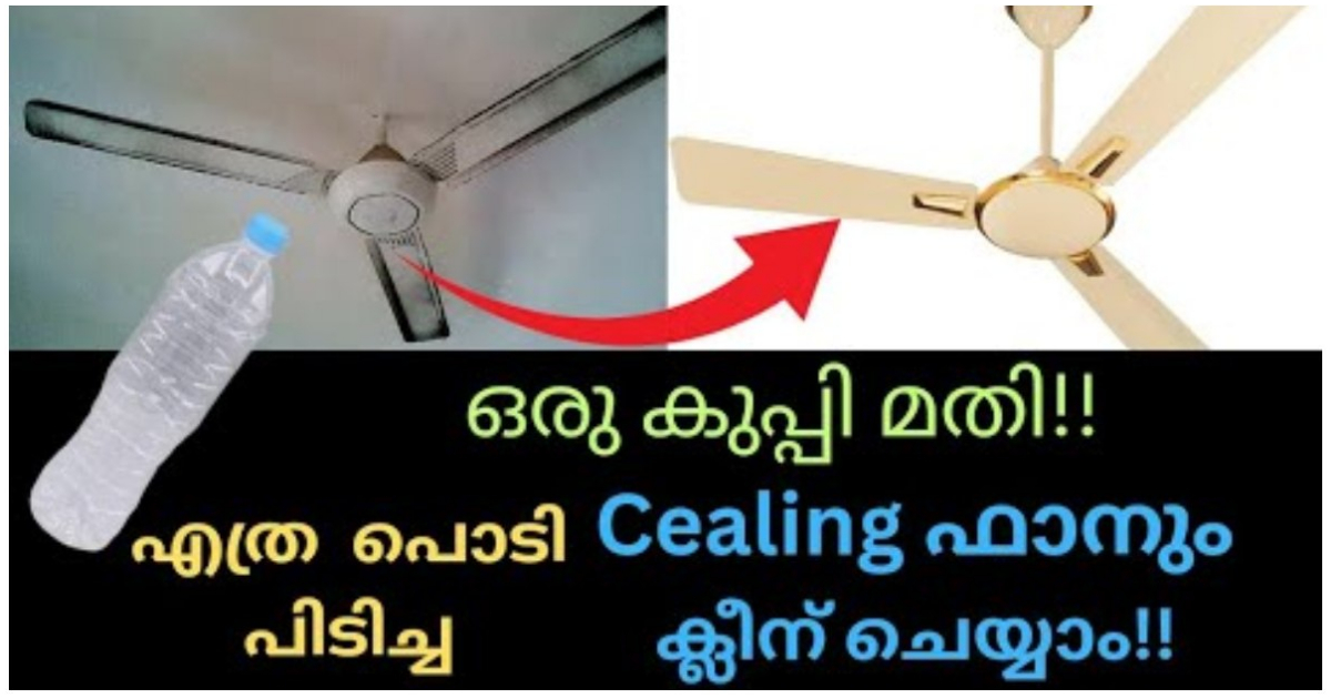 Fan Cleaning Easy Tips