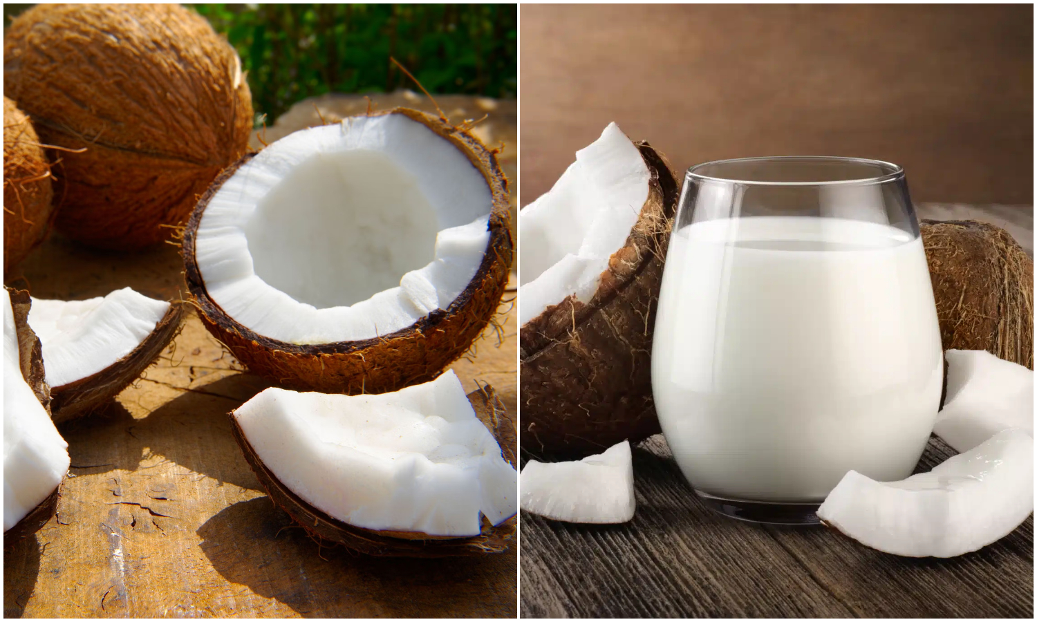 Coconut Milk Making easy tips