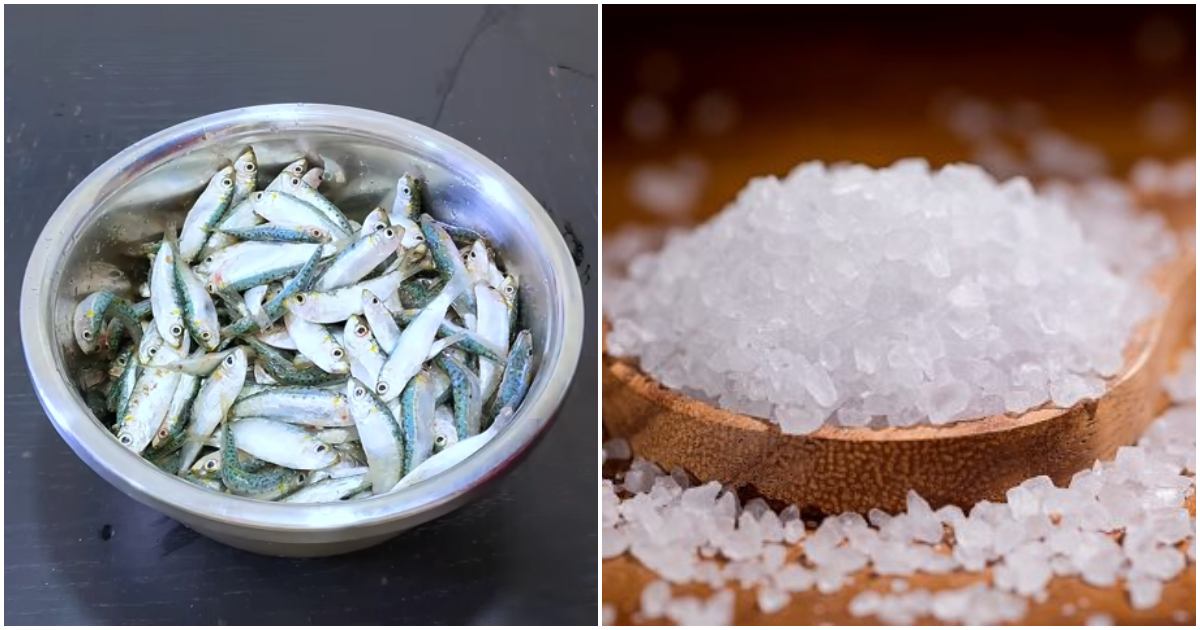 The Powerful Benefits of Adding Salmon to Your Diet