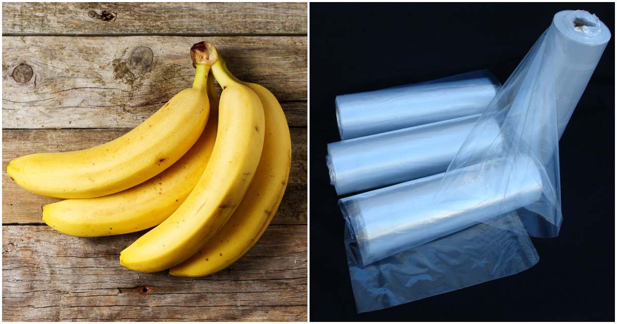 Unlock the Power of Bananas From Nutrient Boost to Storage Hacks