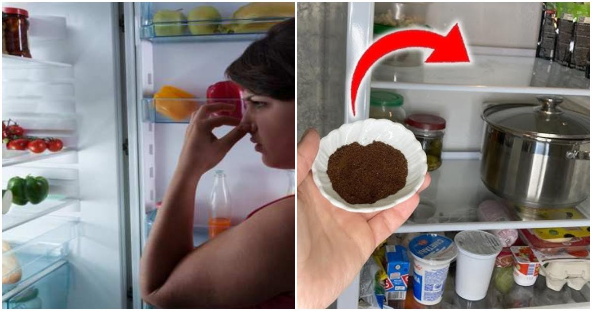 A Simple Guide to a Fresh and Clean Refrigerator